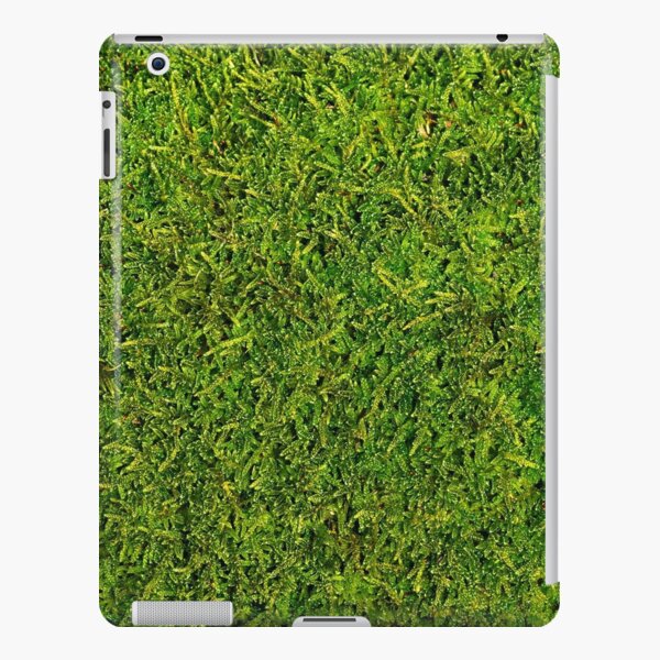 Moss iPad Snap Case