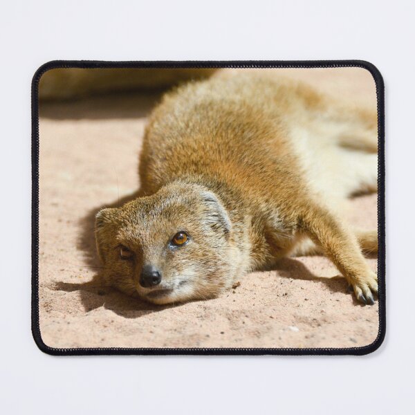 Item preview, Yellow Mongoose designed and sold by Ksswaden.
