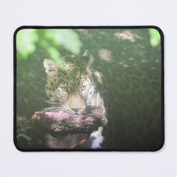 Item preview, Amur Leopard dinner designed and sold by Ksswaden.