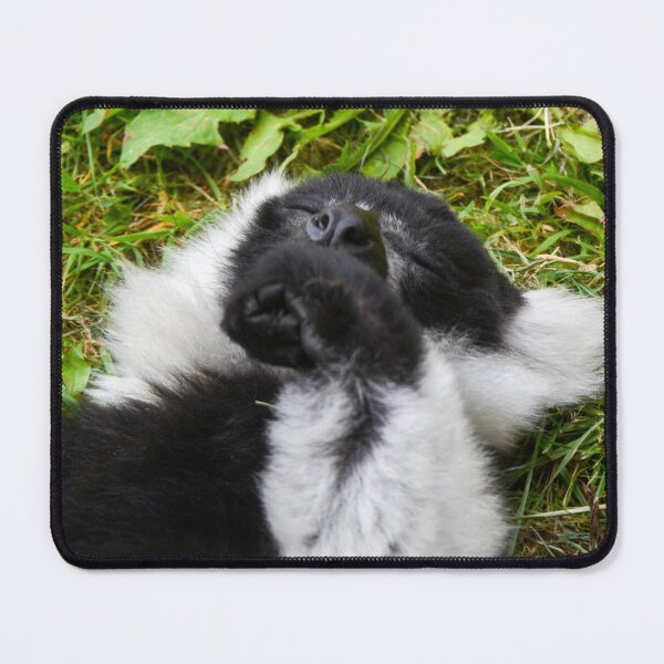 Item preview, Black & White ruffled Lemur Sleeping designed and sold by Ksswaden.