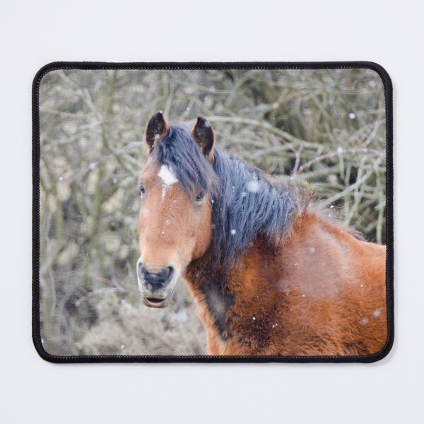 Item preview, Pony in the Snow designed and sold by Ksswaden.