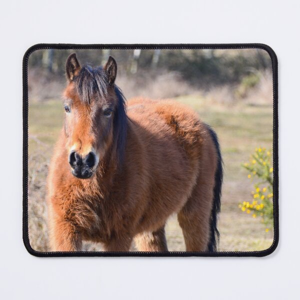 Item preview, Bay Pony New Forest designed and sold by Ksswaden.
