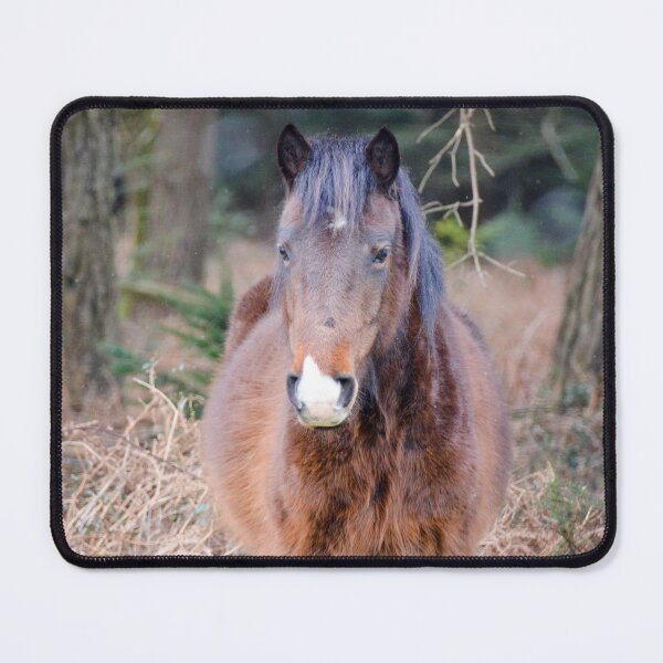 Item preview, Fluffy New Forest Pony designed and sold by Ksswaden.