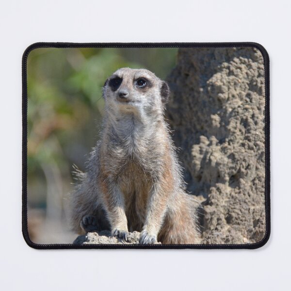 Item preview, Meerkat Lookout designed and sold by Ksswaden.