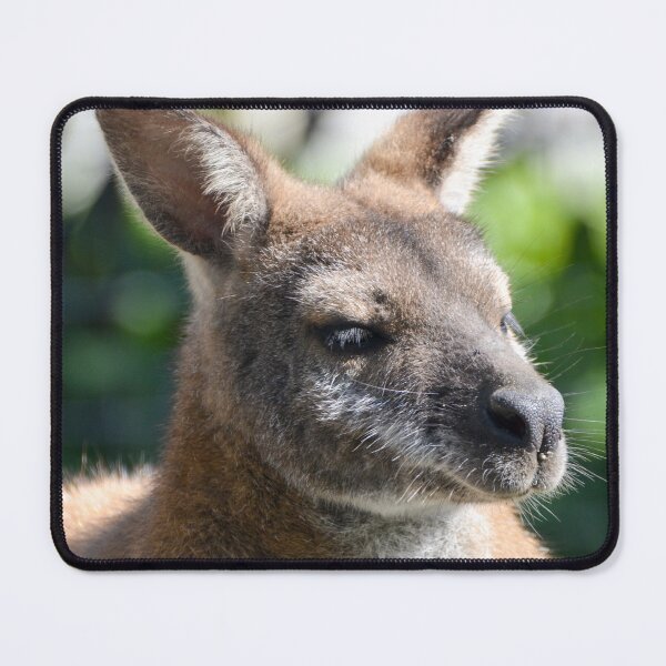 Item preview, Red Necked Wallaby designed and sold by Ksswaden.