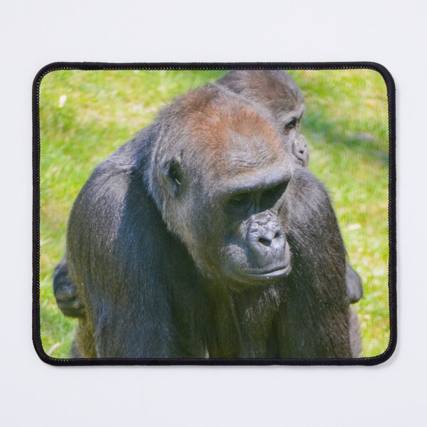 Item preview, western lowland gorilla family designed and sold by Ksswaden.