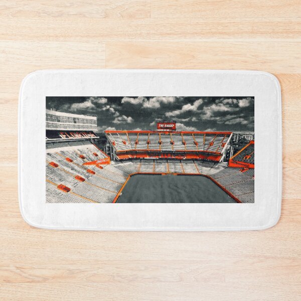 Item preview, Ben Hill Griffin Stadium in black and white with orange isolated designed and sold by NickoPrints.