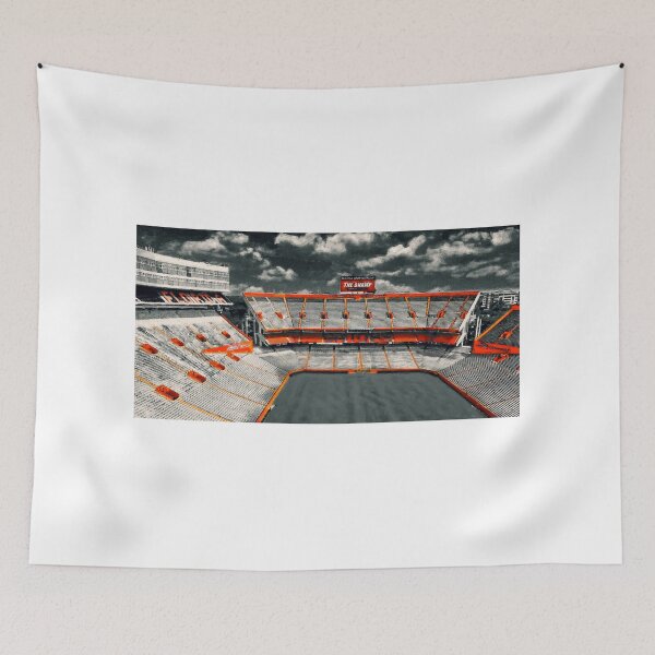 Item preview, Ben Hill Griffin Stadium in black and white with orange isolated designed and sold by NickoPrints.