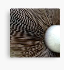 Breakfast Canvas Print