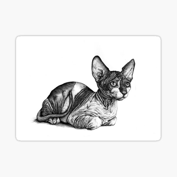 El gato real Pegatina