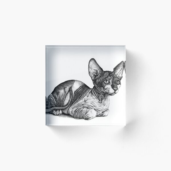 El gato real Bloque acrílico