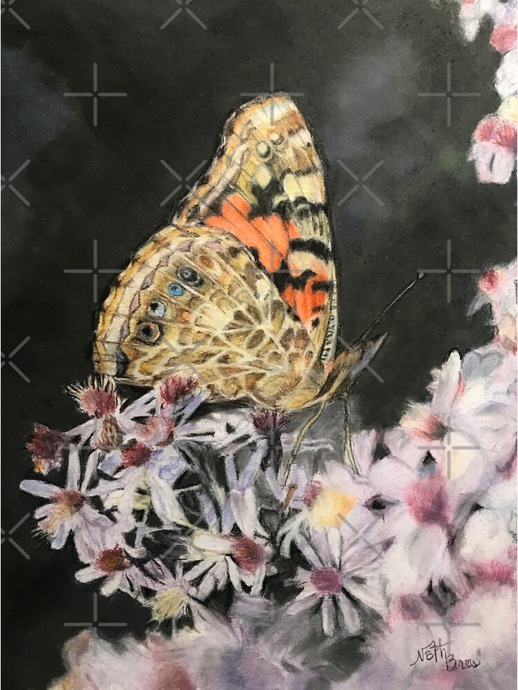 Painted Lady Butterfly Sticker