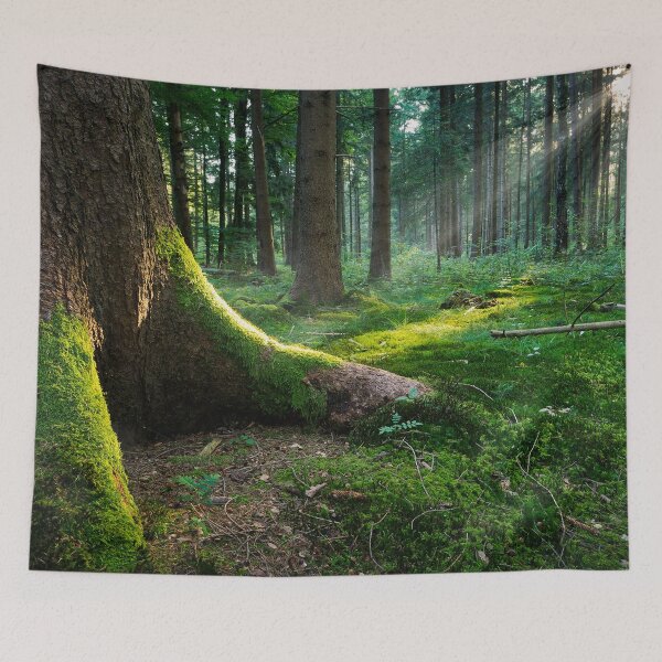Item preview, Tree in the Woods designed and sold by syfyfx.