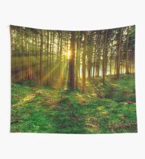 Wald Sonnenaufgang Wandbehang