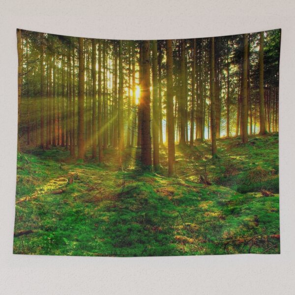 Aperçu de l'œuvre Lever de soleil en forêt créée et vendue par syfyfx.
