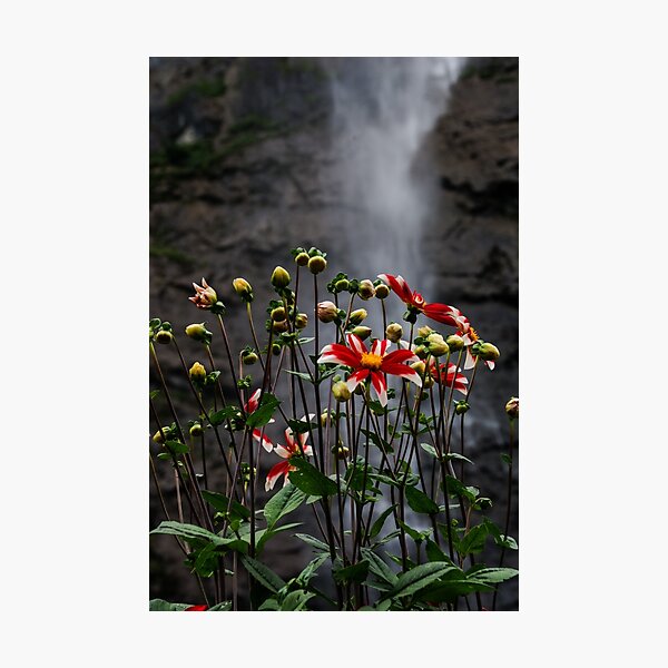 Item preview, Flowers and waterfall designed and sold by GOSIA GRZYBEK.