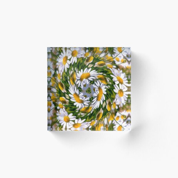 Item preview, Pretty Shasta daisy pattern designed and sold by Patternflower.