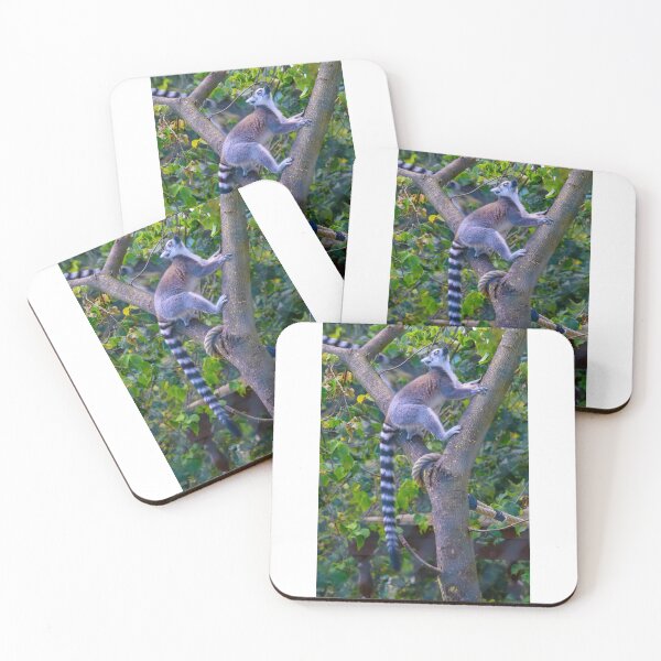 Item preview, Lemur - ring-tailed lemur climbing designed and sold by OskiOnTour.