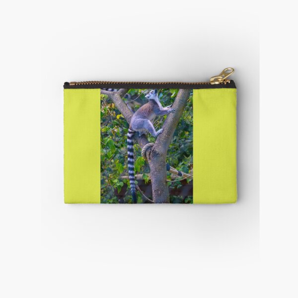 Item preview, Lemur - ring-tailed lemur climbing designed and sold by OskiOnTour.