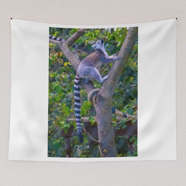 Item preview, Lemur - ring-tailed lemur climbing designed and sold by OskiOnTour.