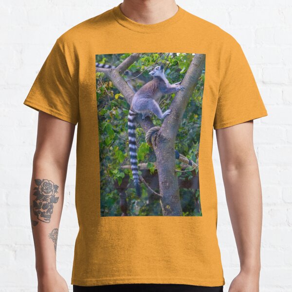 Lemur - Katta beim Klettern Classic T-Shirt