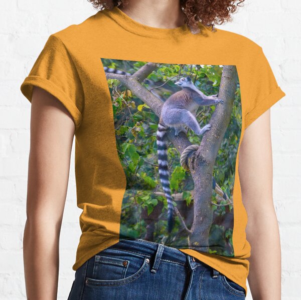 Lemur - Katta beim Klettern Classic T-Shirt