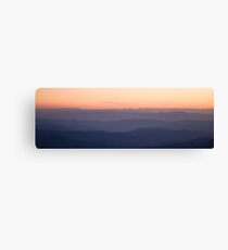 Silkscreen Canvas Print