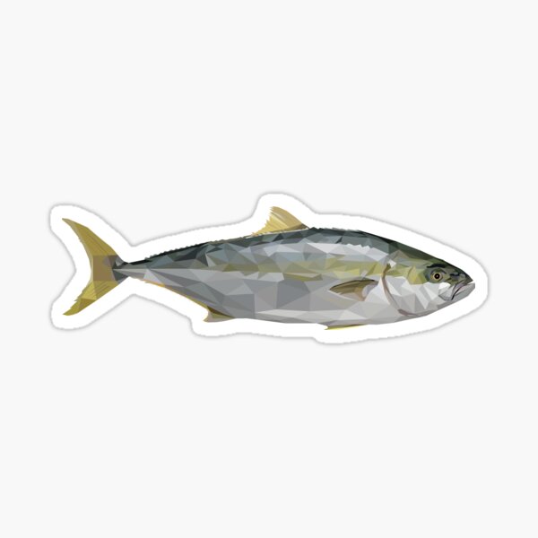 Kingfish Profile Decal Bumper Sticker Gifts Men Fishermen Fish Fishing 3 x 12.2" 