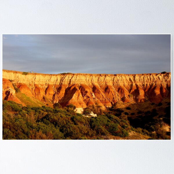 Item preview, Prehistory designed and sold by Globalphotos.