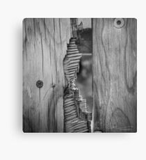 A Glimpse Metal Print