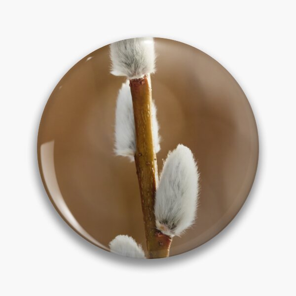 Item preview, Pussy willows brown designed and sold by Jouko Lehto Photography.