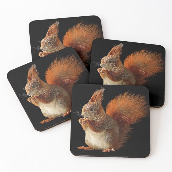 Item preview, squirrel designed and sold by sibosssr.