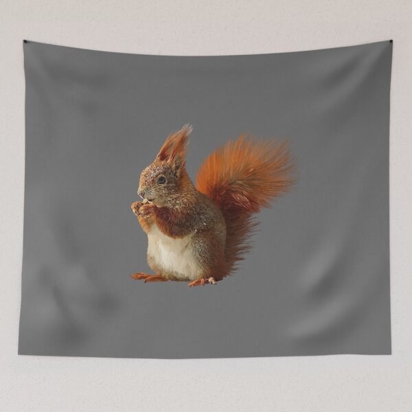 Item preview, squirrel designed and sold by sibosssr.