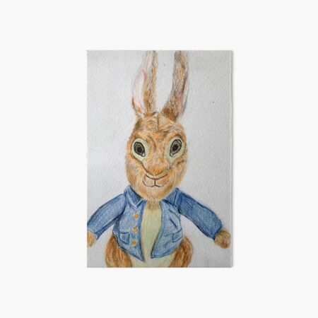 2 LAMINAS INFANTILES Peter rabbit: 28,00 €