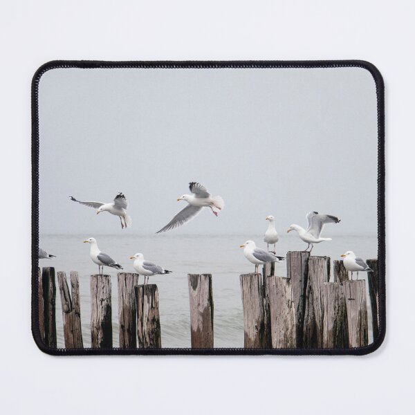 Item preview, seaguls at the coast designed and sold by Ronenvief.