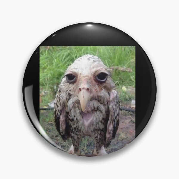 Item preview, Wet Owl Meme Classic designed and sold by LarkeetaRobers.
