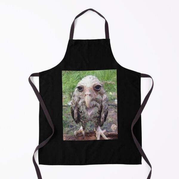 Item preview, Wet Owl Meme Classic designed and sold by LarkeetaRobers.