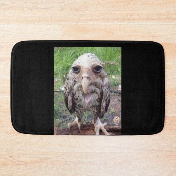 Item preview, Wet Owl Meme Classic designed and sold by LarkeetaRobers.