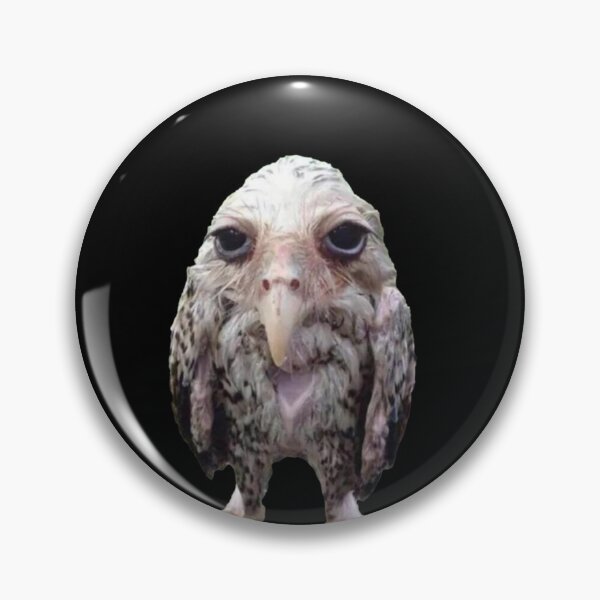 Item preview, Wet Owl Meme Essential designed and sold by LarkeetaRobers.
