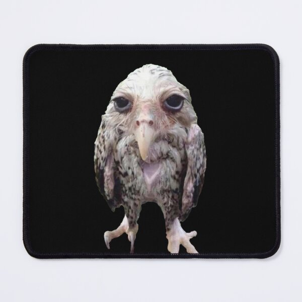 Item preview, Wet Owl Meme Essential designed and sold by LarkeetaRobers.