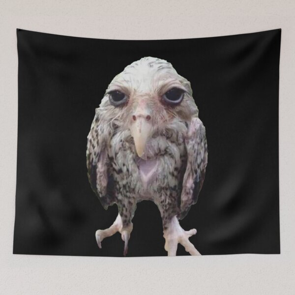 Item preview, Wet Owl Meme Essential designed and sold by LarkeetaRobers.