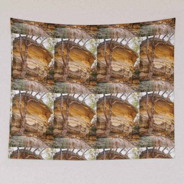 Tapestry