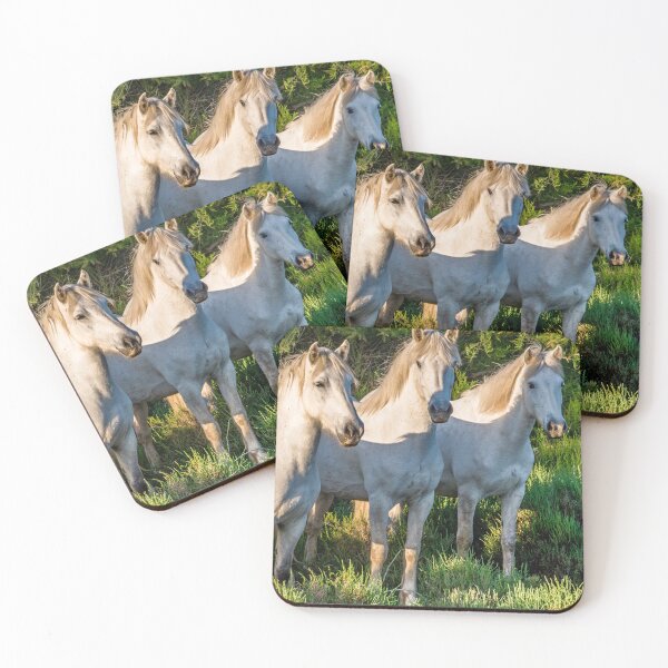 Artikelvorschau, La Camargue,Frankreich,Panorama,Landschaft,Pferd,Wilde Pferde,Reiten,Tier,Pferdekunst,Pferdeposter,Pferdeleinwand,Pferdeleinwand,Pferdeleinwandkunstwandkunst,Pony entworfen und verkauft von eyesight4vision.