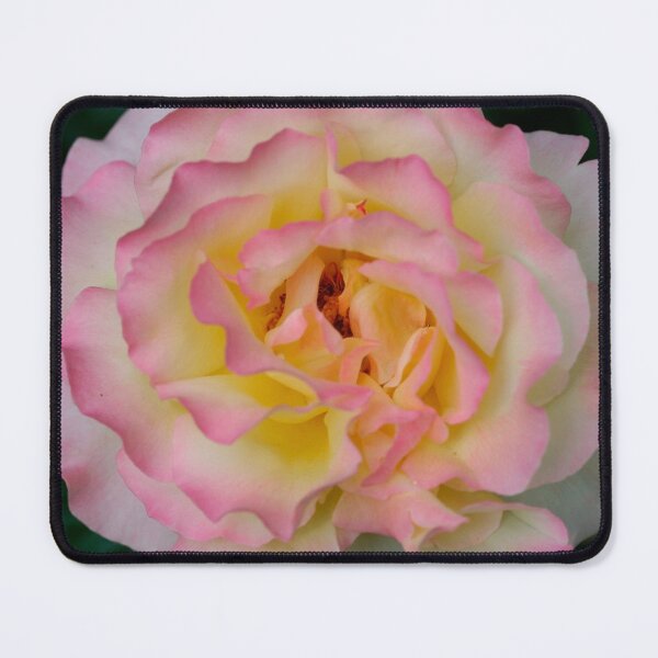 Item preview, One of my Roses designed and sold by BarbaraWilliams.