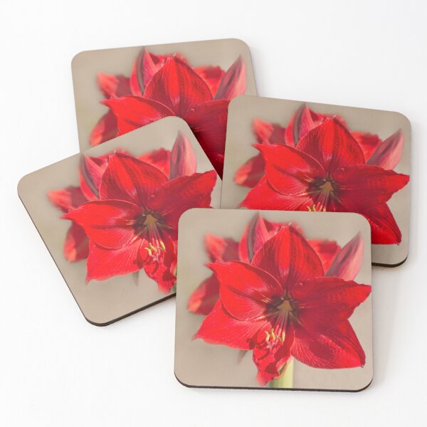 Item preview, Red Amaryllis designed and sold by Zina Stromberg.