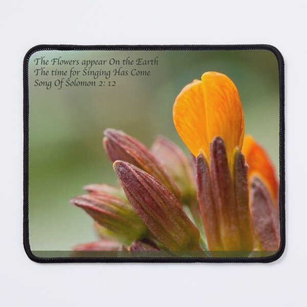 Item preview, Spring Flowers designed and sold by BarbaraWilliams.