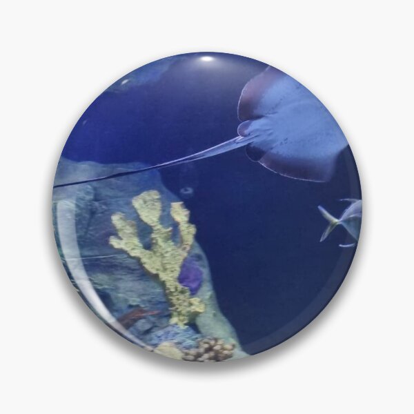 Item preview, sea life in terarrium... designed and sold by barbich.