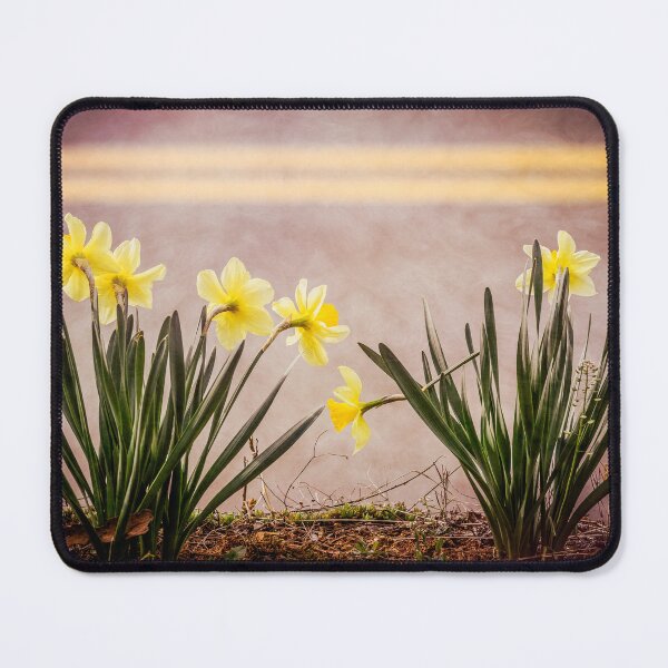 Item preview, Double Yellow Daffodils designed and sold by Jim Love.