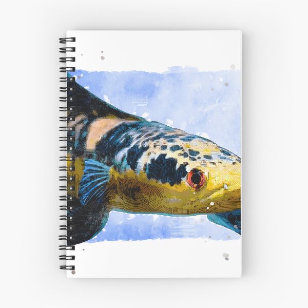 Item preview, Channa fish Vectorish designed and sold by Mercixai.