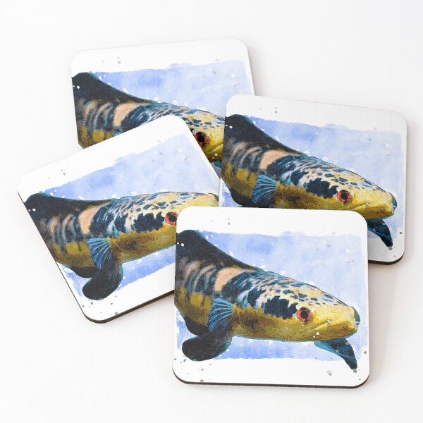 Item preview, Channa fish Vectorish designed and sold by Mercixai.